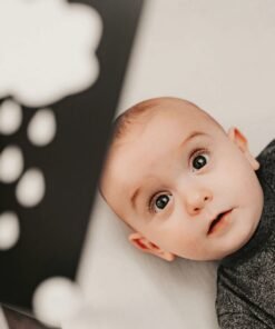 Lavinamosios kortelės