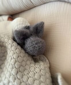 merino vilnos tapukai