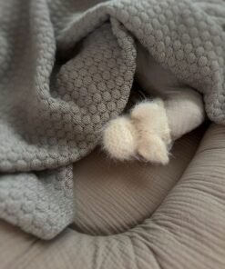 merino vilnos tapukai